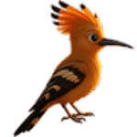 The Smartest Bird in the Blockchain.