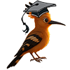 Crypto Hoopoe Academy